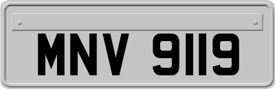 MNV9119