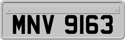 MNV9163
