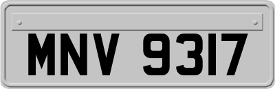MNV9317