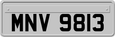 MNV9813