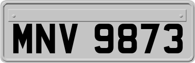 MNV9873