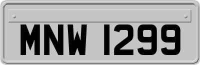 MNW1299