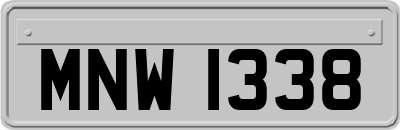 MNW1338