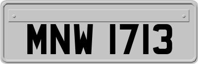 MNW1713