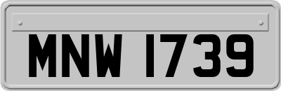 MNW1739