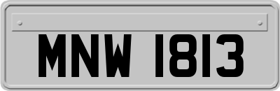 MNW1813