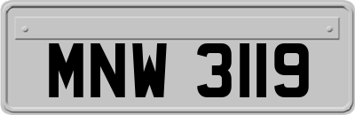 MNW3119