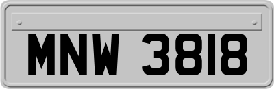 MNW3818