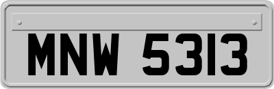 MNW5313
