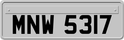 MNW5317