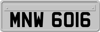 MNW6016
