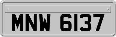 MNW6137