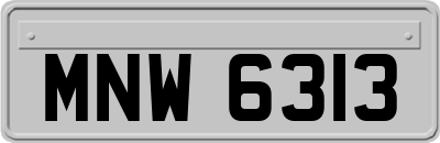 MNW6313