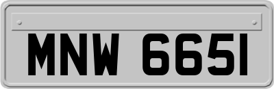 MNW6651