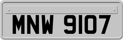 MNW9107