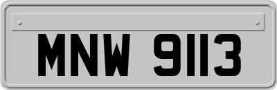 MNW9113