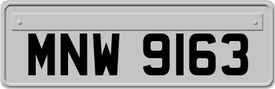 MNW9163