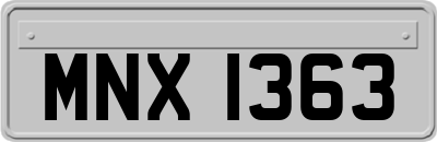 MNX1363