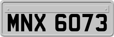 MNX6073