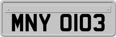 MNY0103