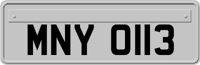 MNY0113