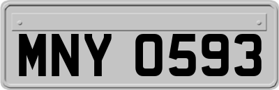 MNY0593