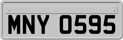 MNY0595