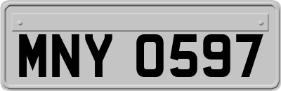 MNY0597