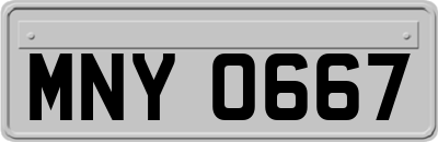 MNY0667