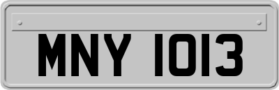 MNY1013