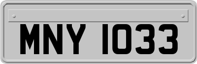 MNY1033
