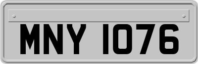 MNY1076