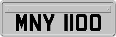 MNY1100