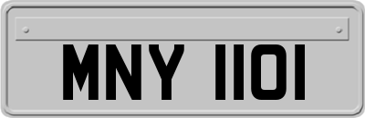 MNY1101