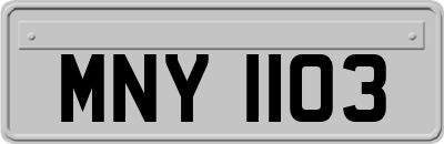 MNY1103