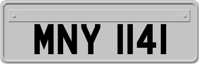 MNY1141