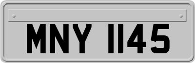 MNY1145