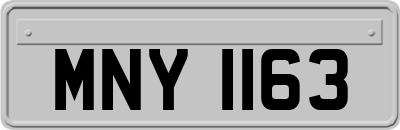 MNY1163