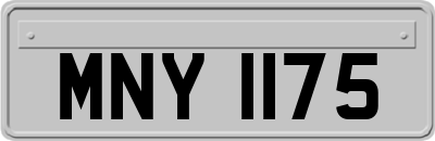 MNY1175