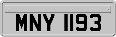 MNY1193