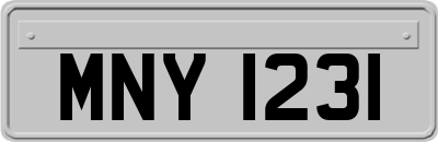 MNY1231