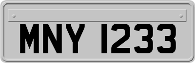 MNY1233