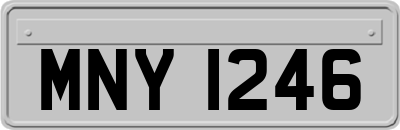 MNY1246