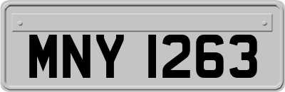 MNY1263