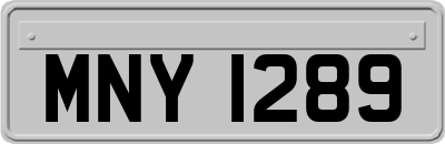 MNY1289
