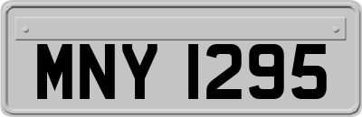 MNY1295