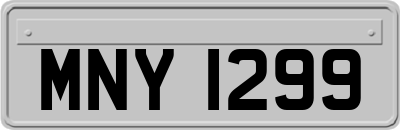 MNY1299