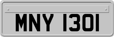 MNY1301