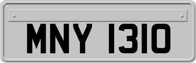 MNY1310