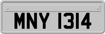 MNY1314